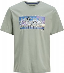Jack & Jones Colton Photoprint Crew Neck T-Shirt Iceberg Green