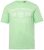 Men+ 424 T-paita Trout Trophy Mintunvihreä - T-paidat - Isot T-paidat 2XL – 14XL
