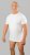 20 Nodi Mezzogiorno Sports T-Shirt White - T-paidat - Isot T-paidat 2XL – 14XL