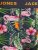 Jack & Jones JACPINK FLAMINGO TRUNKS 5 PACK Navy Blazer - Alusvaatteet & uimavaatteet - Miesten Isot alusvaatteet 