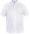 D555 James Short Sleeve Oxford Shirt White - Kauluspaidat - Miesten isot kauluspaidat 2XL – 8XL
