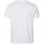 North Latitude T-Shirt 2-Pack White - T-paidat - Isot T-paidat 2XL – 14XL