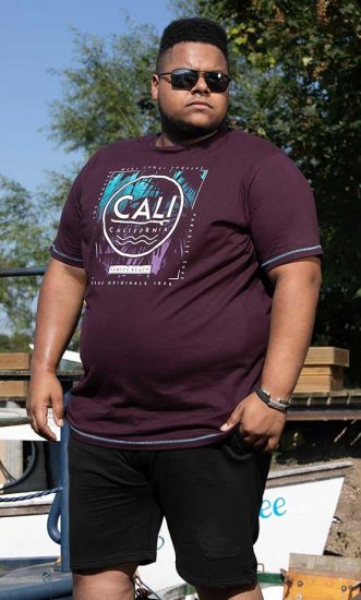 D555 NOVA Cali Surf Printed Crew Neck T-Shirt Plum - T-paidat - Isot T-paidat 2XL – 14XL