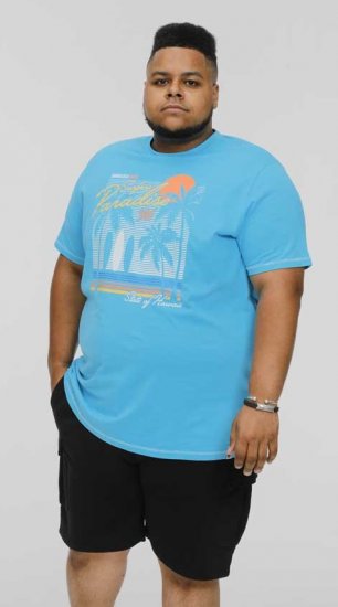 D555 AARON Surfers Paradise Printed Crew Neck T-Shirt Turquoise - T-paidat - Isot T-paidat 2XL – 14XL
