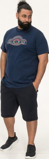 D555 Cheltenham Record With Reflection Printed T-shirt French Navy - T-paidat - Isot T-paidat 2XL – 14XL