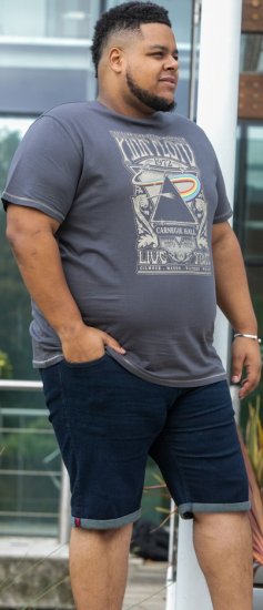 D555 HANLEY Official Pink Floyd Crew Neck T-Shirt Dark Grey TALL SIZES - MIESTEN VAATTEET MT-6XLT - Pitkien miesten vaatteet