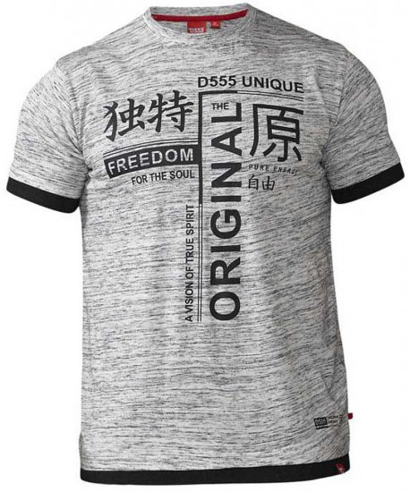 D555 Harold T-shirt Grey - T-paidat - Isot T-paidat 2XL – 14XL