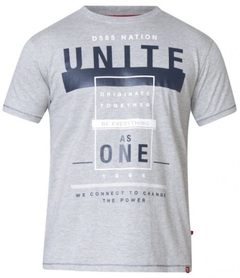 D555 Phillip T-shirt Grey - T-paidat - Isot T-paidat 2XL – 14XL
