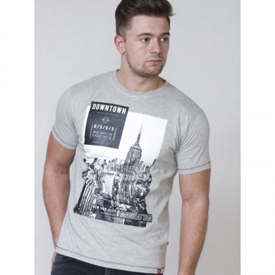 D555 Clive T-shirt Grey - T-paidat - Isot T-paidat 2XL – 14XL