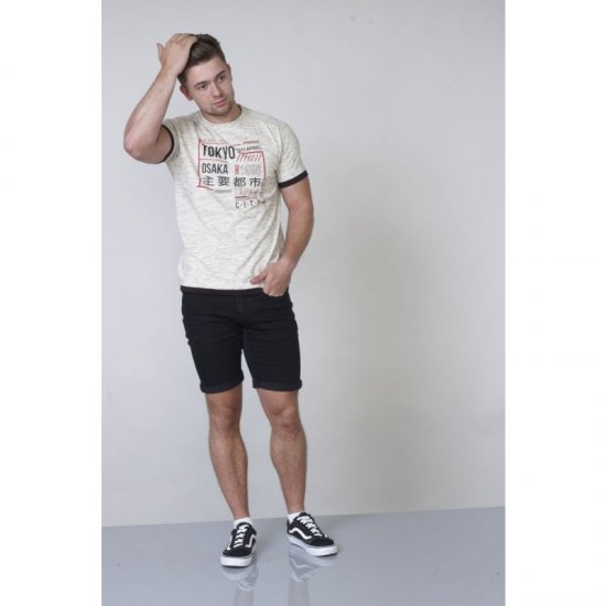 D555 Merlin T-shirt Grey - T-paidat - Isot T-paidat 2XL – 14XL