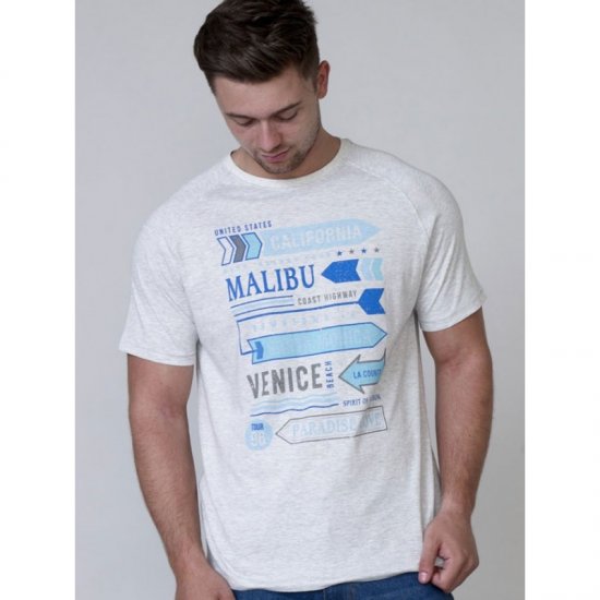 D555 Norris T-shirt Grey - T-paidat - Isot T-paidat 2XL – 14XL