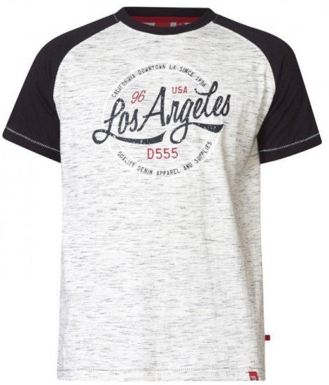 D555 Judson T-shirt Grey - T-paidat - Isot T-paidat 2XL – 14XL