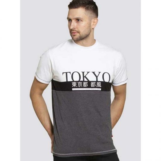 D555 Morris T-shirt Charcoal - T-paidat - Isot T-paidat 2XL – 14XL