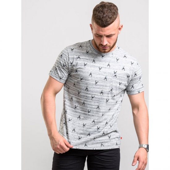 D555 Dario T-shirt Grey - T-paidat - Isot T-paidat 2XL – 14XL