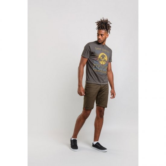 D555 Stanley T-shirt Khaki - T-paidat - Isot T-paidat 2XL – 14XL