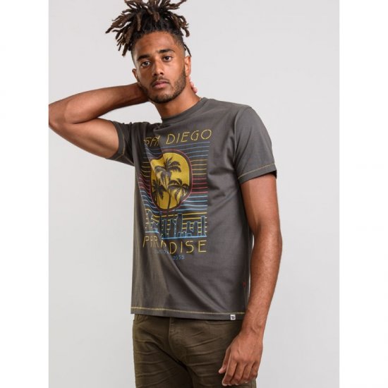 D555 Stanley T-shirt Khaki - T-paidat - Isot T-paidat 2XL – 14XL