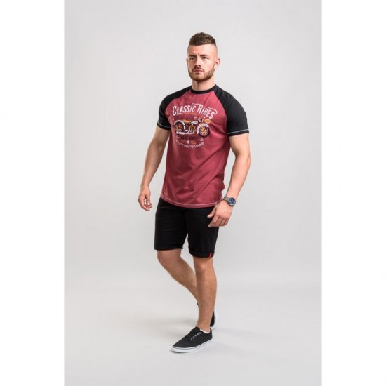D555 Evans T-shirt Burgundy - T-paidat - Isot T-paidat 2XL – 14XL