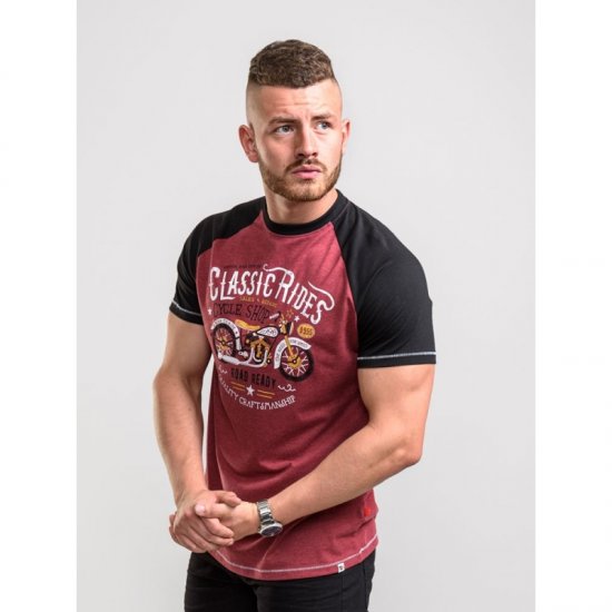 D555 Evans T-shirt Burgundy - T-paidat - Isot T-paidat 2XL – 14XL