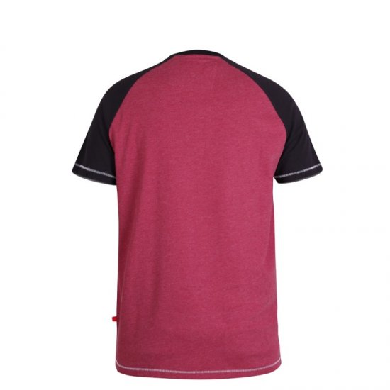 D555 Evans T-shirt Burgundy - T-paidat - Isot T-paidat 2XL – 14XL
