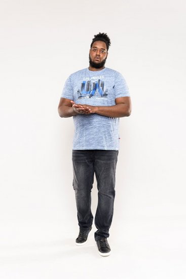 D555 Hobart LA Printed T-Shirt Blue - T-paidat - Isot T-paidat 2XL – 14XL