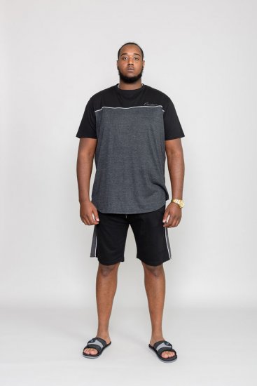 D555 NEWBURY T-Shirt - T-paidat - Isot T-paidat 2XL – 14XL
