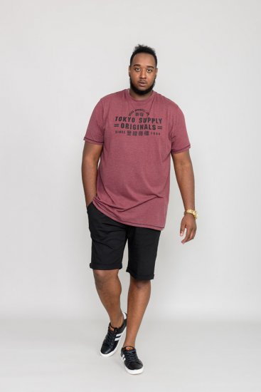 D555 LINTON Printed T-Shirt - T-paidat - Isot T-paidat 2XL – 14XL