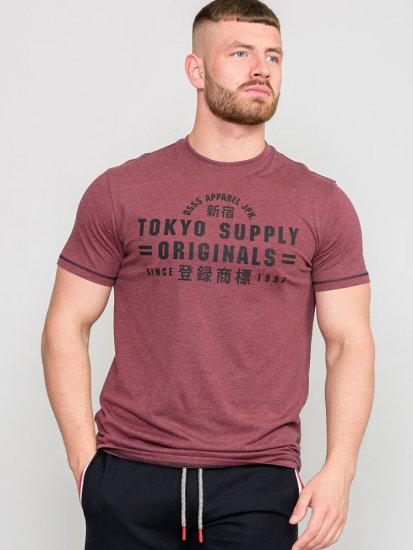 D555 LINTON Printed T-Shirt - T-paidat - Isot T-paidat 2XL – 14XL
