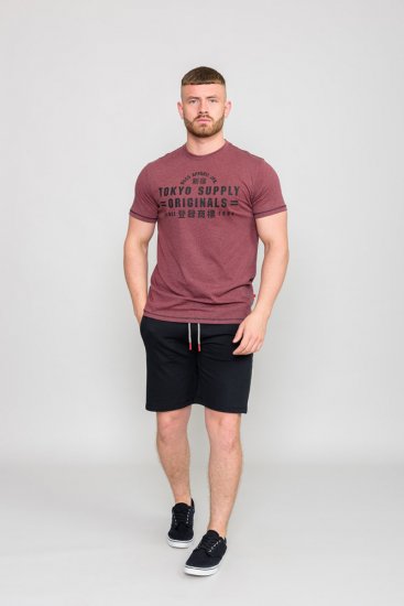D555 LINTON Printed T-Shirt - T-paidat - Isot T-paidat 2XL – 14XL