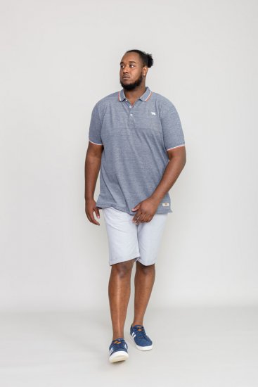 D555 WILCOT Polo Shirt - Pikeepaidat - Miesten isot pikeepaidat