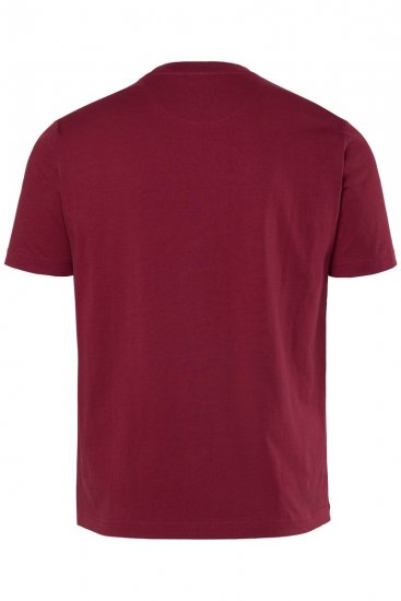 Men+ 219 T-paita Palmut Kuparinruskea - T-paidat - Isot T-paidat 2XL – 14XL