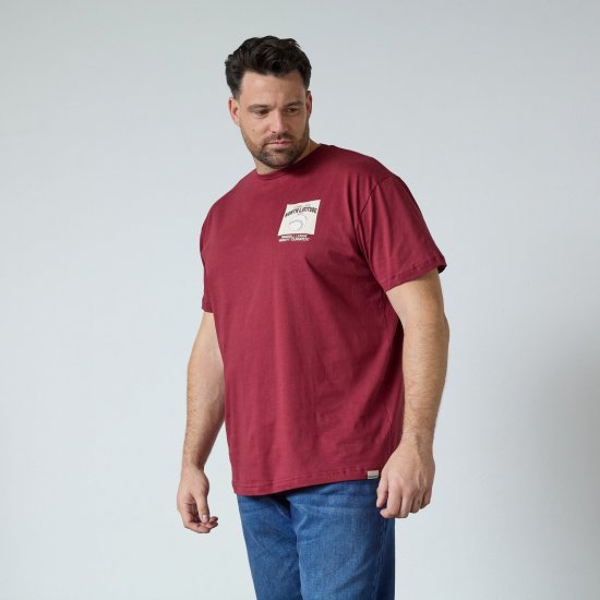 North Latitude T-Shirt With Print Punainen - T-paidat - Isot T-paidat 2XL – 14XL