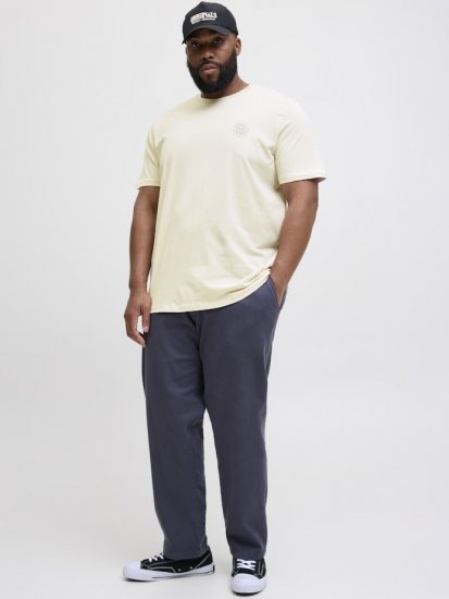 Jack & Jones Jackie Crew Neck T-Shirt Moonbeam - T-paidat - Isot T-paidat 2XL – 14XL