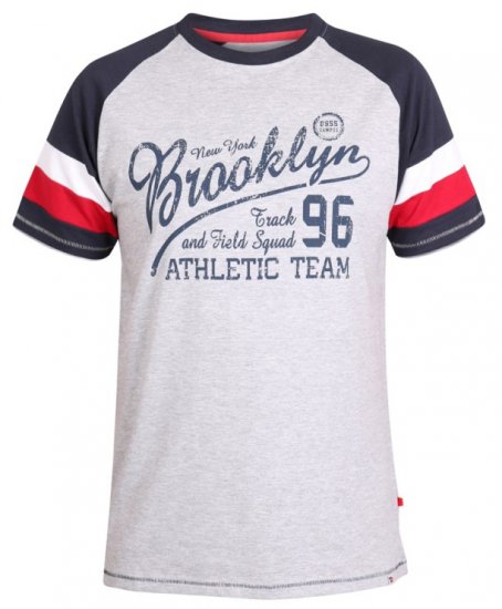 D555 Jones T-shirt Grey - T-paidat - Isot T-paidat 2XL – 14XL