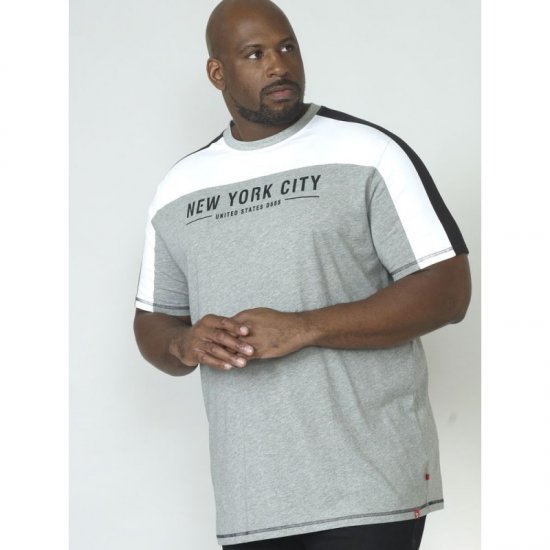 D555 Alvester T-shirt Grey - T-paidat - Isot T-paidat 2XL – 14XL