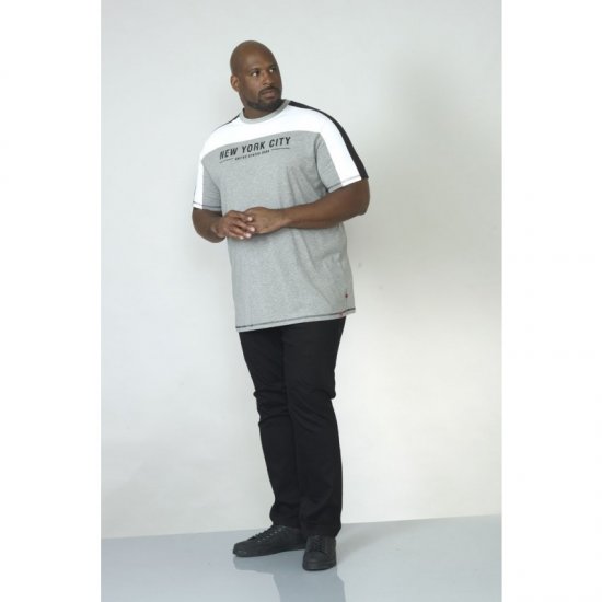 D555 Alvester T-shirt Grey - T-paidat - Isot T-paidat 2XL – 14XL