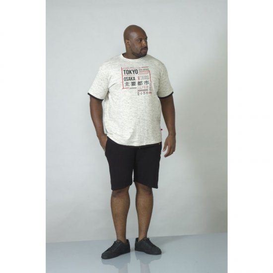 D555 Merlin T-shirt Grey - T-paidat - Isot T-paidat 2XL – 14XL