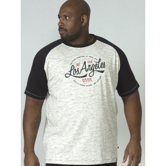 D555 Judson T-shirt Grey - T-paidat - Isot T-paidat 2XL – 14XL