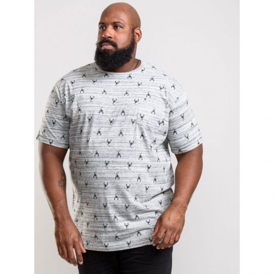 D555 Dario T-shirt Grey - T-paidat - Isot T-paidat 2XL – 14XL