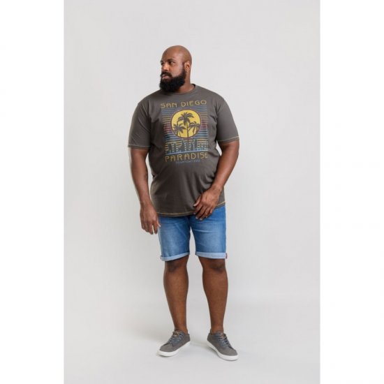 D555 Stanley T-shirt Khaki - T-paidat - Isot T-paidat 2XL – 14XL
