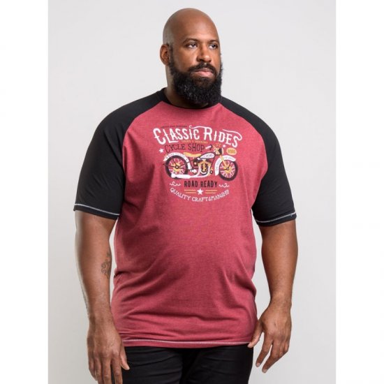 D555 Evans T-shirt Burgundy - T-paidat - Isot T-paidat 2XL – 14XL
