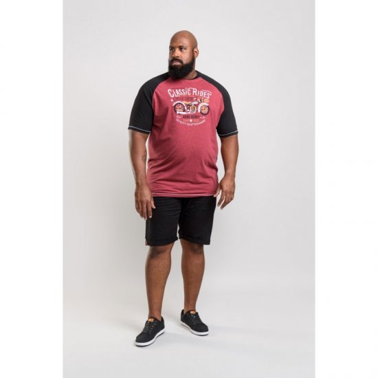 D555 Evans T-shirt Burgundy - T-paidat - Isot T-paidat 2XL – 14XL