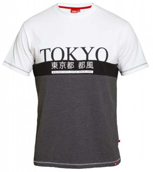 D555 Morris T-shirt Charcoal - T-paidat - Isot T-paidat 2XL – 14XL