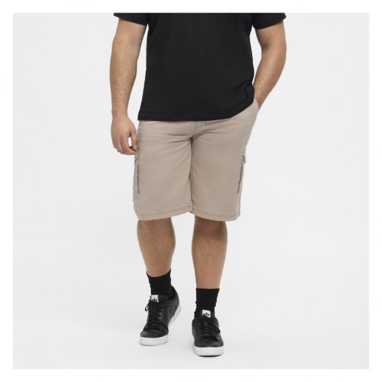North Latitude Cargo Shorts Sand - Shortsit - Shortsit, isot koot – W40-W60