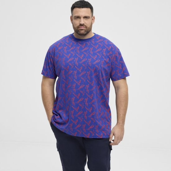 North Latitude T-Shirt Printed Allover Blue - T-paidat - Isot T-paidat 2XL – 14XL