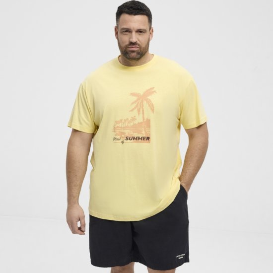 North Latitude T-Shirt Printed Yellow - T-paidat - Isot T-paidat 2XL – 14XL